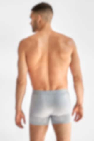 Grey Boxer Brief underpants made of organic cotton and elastane - Bread &  Boxers